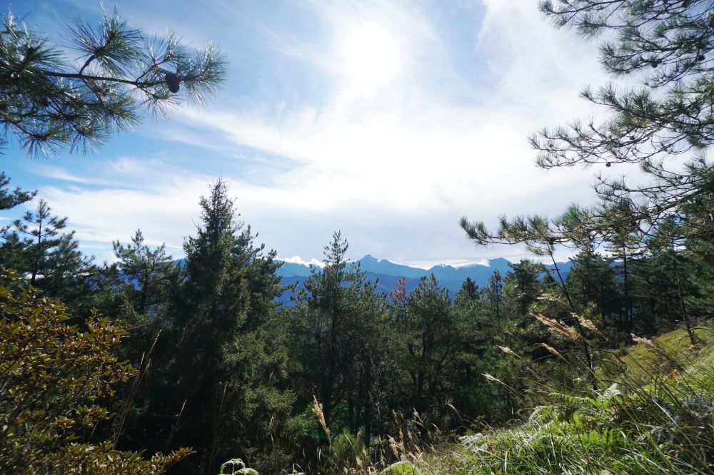 雪山主東峰|新手入門百岳登山路線秘境攻略 - 第7張圖 雪山主東峰|新手入門百岳登山路線秘境攻略