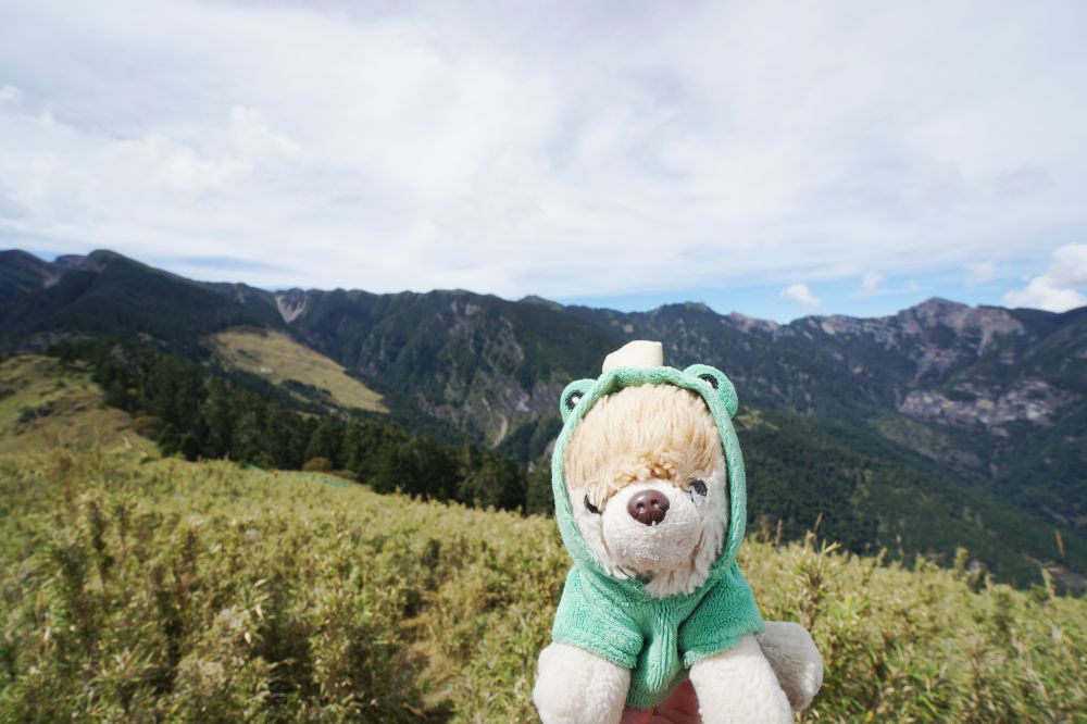 雪山主東峰|新手入門百岳登山路線秘境攻略 - 第15張圖 雪山主東峰|新手入門百岳登山路線秘境攻略