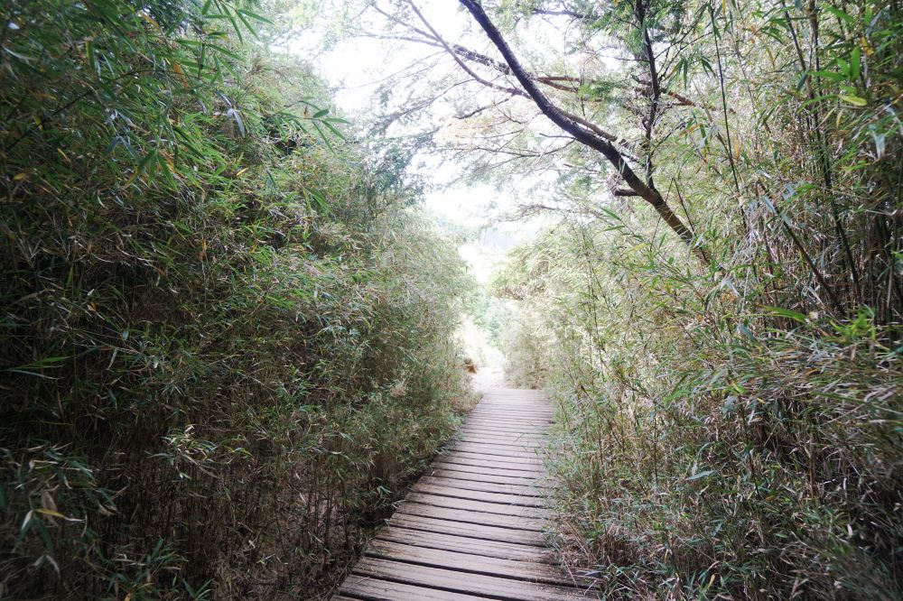 雪山主東峰|新手入門百岳登山路線秘境攻略 - 第18張圖 雪山主東峰|新手入門百岳登山路線秘境攻略