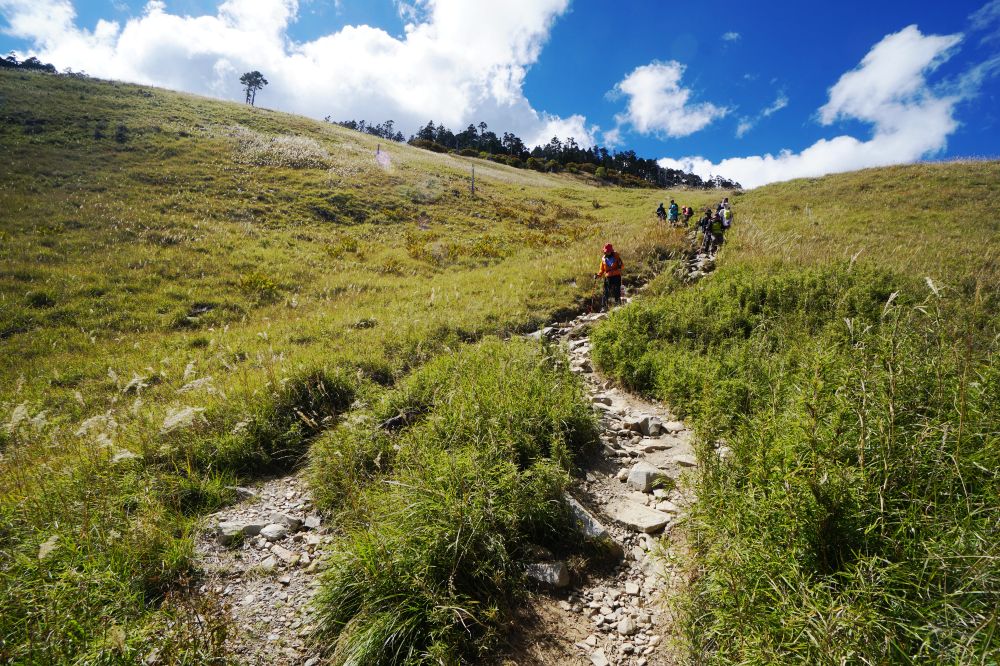 雪山主東峰|新手入門百岳登山路線秘境攻略 - 第23張圖 雪山主東峰|新手入門百岳登山路線秘境攻略