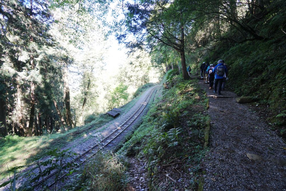 眠月線|嘉義阿里山一日單攻登山路線新手攻略 - 第9張圖