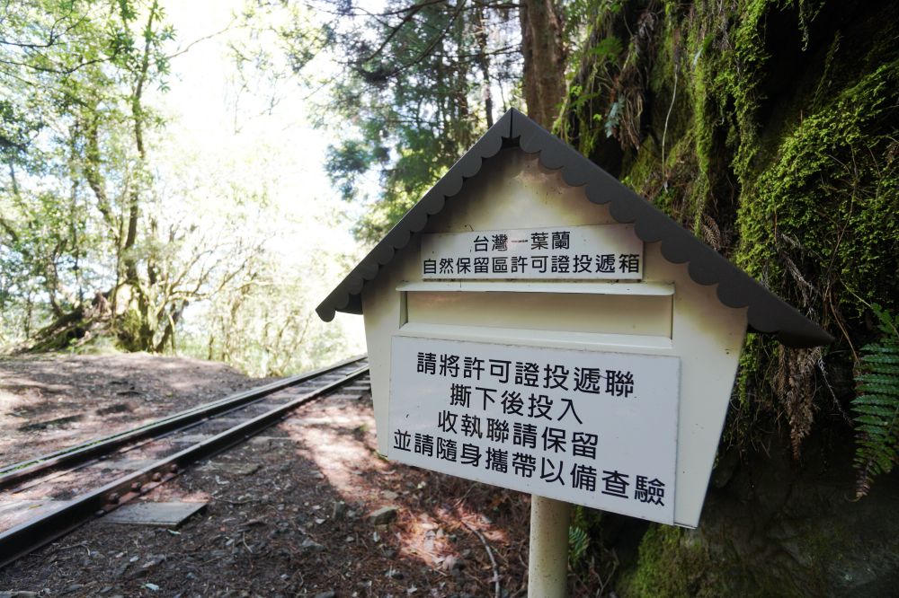 眠月線|嘉義阿里山一日單攻登山路線新手攻略 - 第21張圖