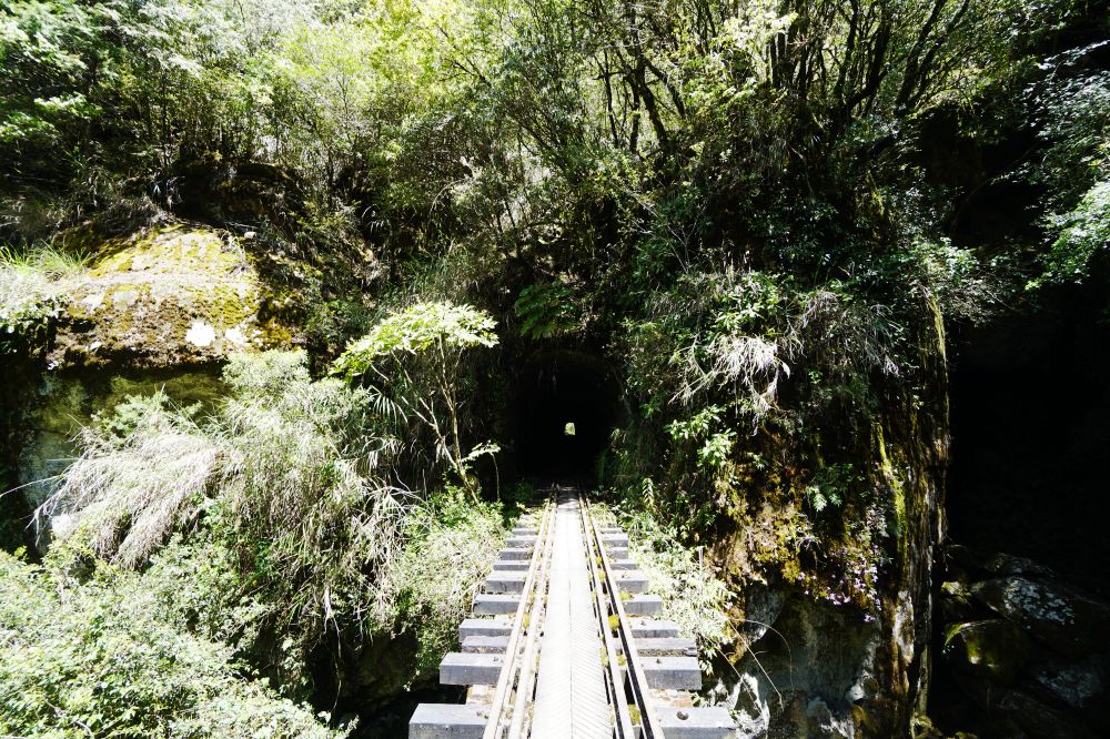 眠月線|嘉義阿里山一日單攻登山路線新手攻略 - 第22張圖