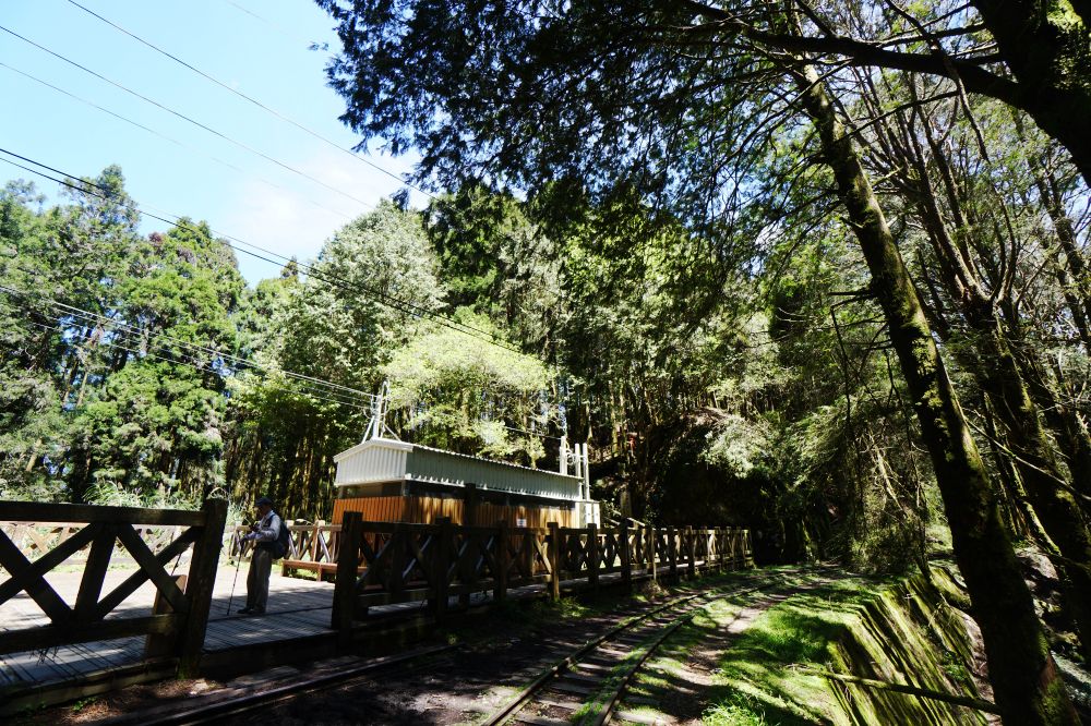 眠月線|嘉義阿里山一日單攻登山路線新手攻略 - 第10張圖