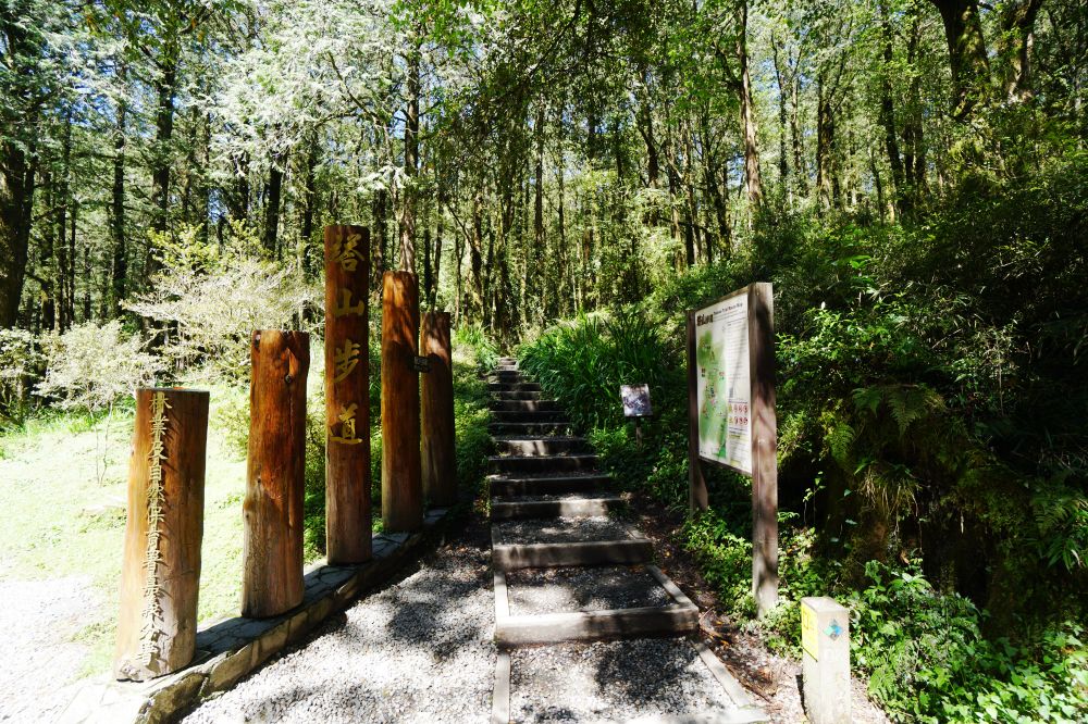 眠月線|嘉義阿里山一日單攻登山路線新手攻略 - 第7張圖