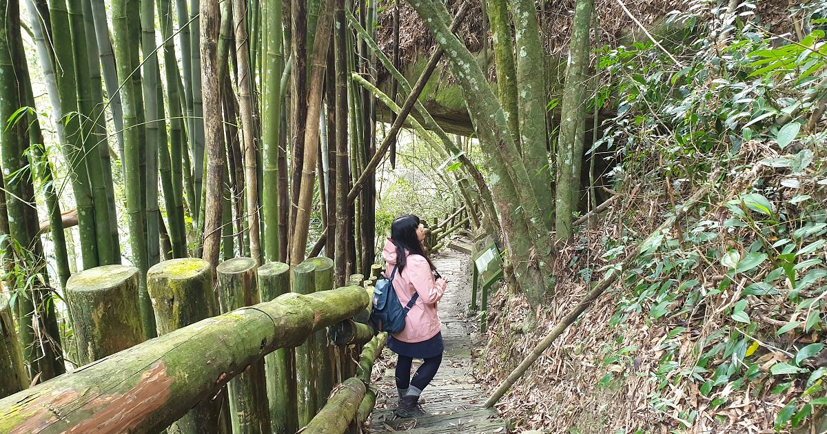 里佳林間步道 17jump旅遊攝