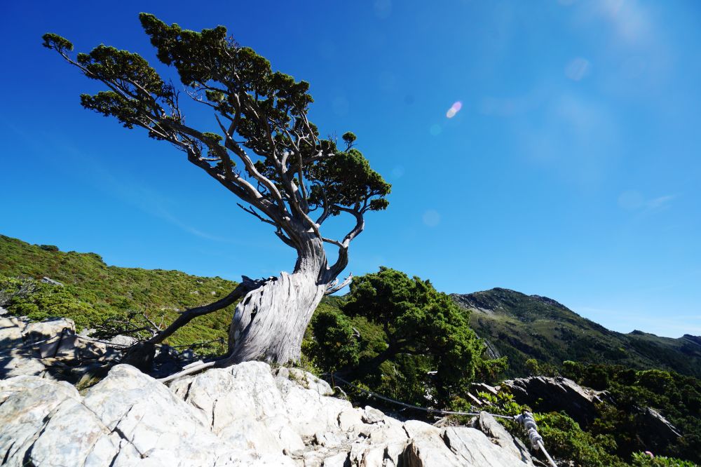 嘉明湖適合新手嗎?第一次高山過夜前,先判斷適不適合 - 第4張圖 嘉明湖適合新手嗎?第一次高山過夜前,先判斷適不適合