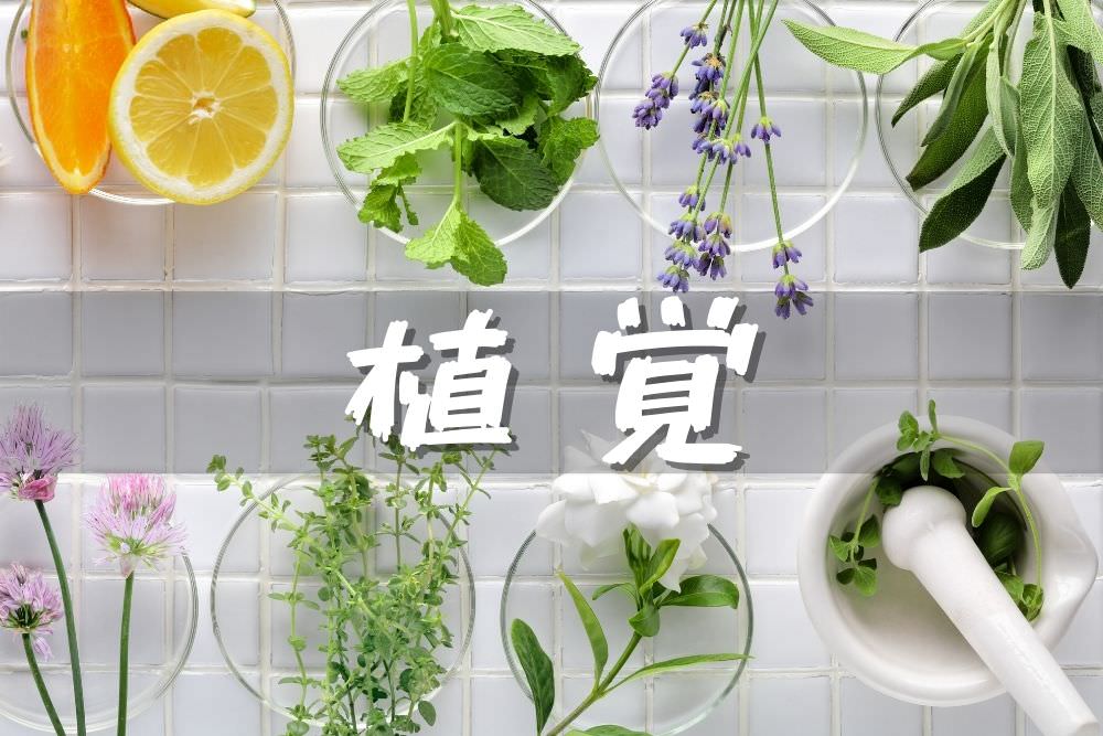 (舊)植覺精油洞悉課程